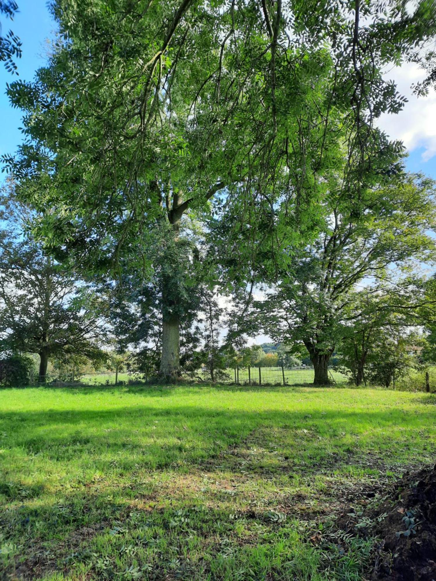 Gellick Bed & Breakfast Lanaken